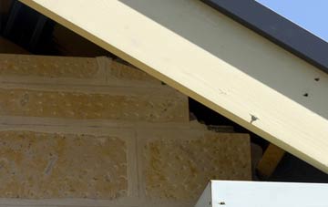 soffit repair The Close
